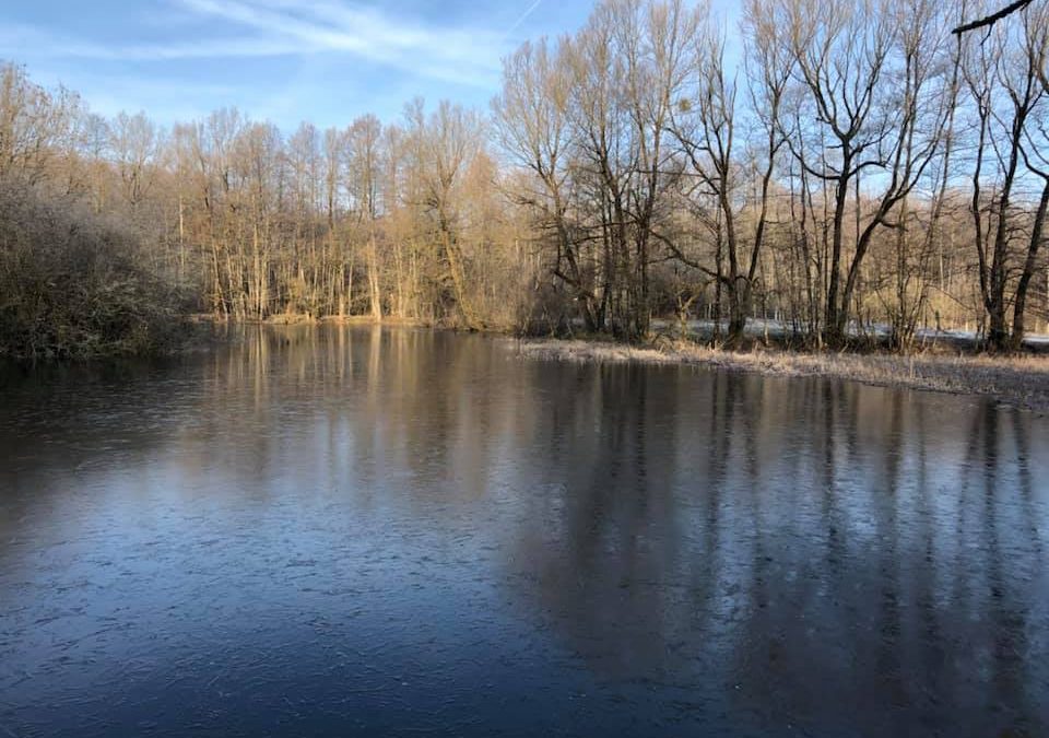 Field trip in the Saône’s marshland