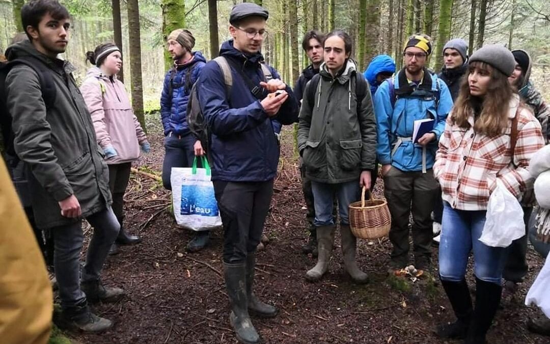 Learning about mushrooms with GNUFC