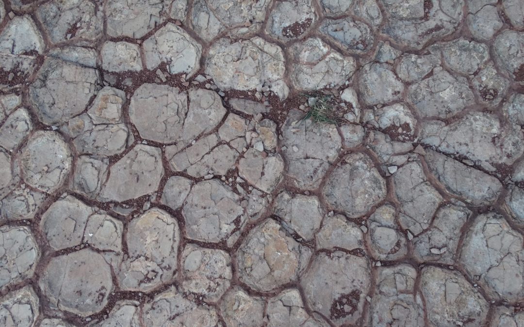 250 million year old dessication cracks near the Salagou lake